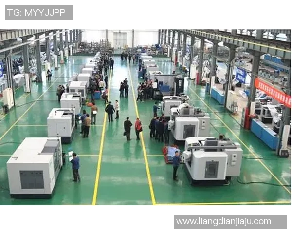 上海羽毛球队转型之路:成败得失与未来展望分析 上海羽毛球队转型之路:成败得失与未来展望分析