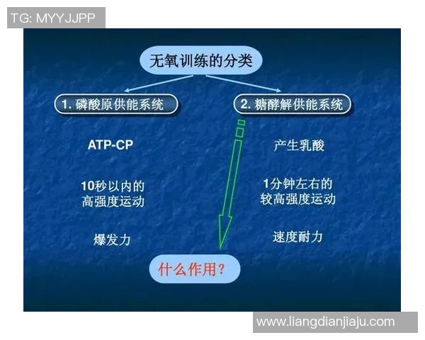 北京羽毛球队反击战术解析与实战应用探讨