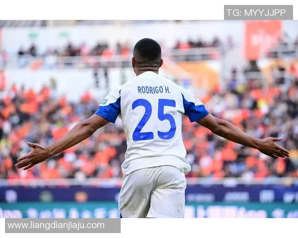 足球明星大雷精彩瞬间集锦展现其无与伦比的球场魅力与风采