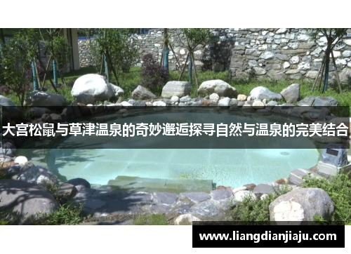 大宫松鼠与草津温泉的奇妙邂逅探寻自然与温泉的完美结合