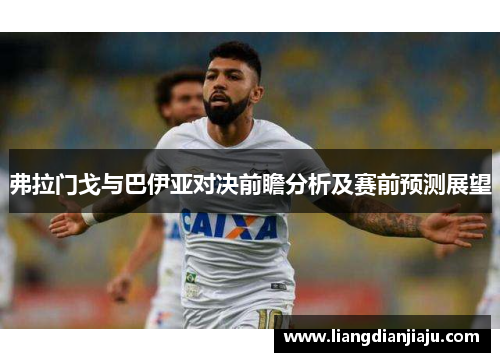 弗拉门戈与巴伊亚对决前瞻分析及赛前预测展望